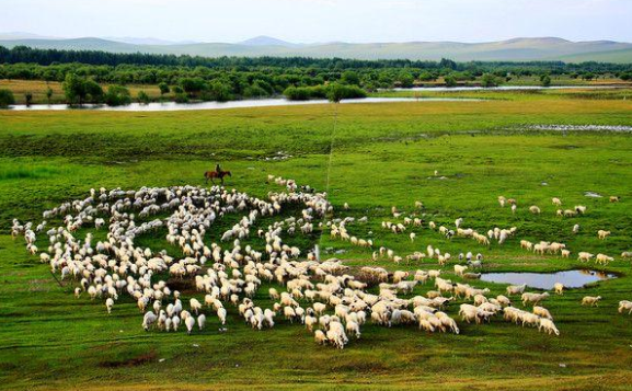 叉車培訓(xùn)基地